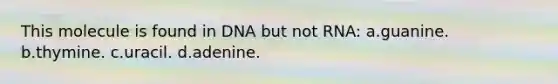 This molecule is found in DNA but not RNA: a.guanine. b.thymine. c.uracil. d.adenine.