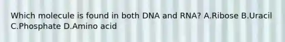 Which molecule is found in both DNA and RNA? A.Ribose B.Uracil C.Phosphate D.Amino acid