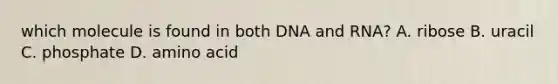 which molecule is found in both DNA and RNA? A. ribose B. uracil C. phosphate D. amino acid