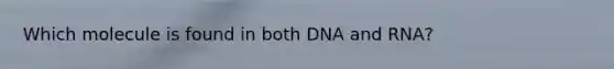 Which molecule is found in both DNA and RNA?