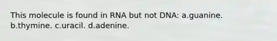 This molecule is found in RNA but not DNA: a.guanine. b.thymine. c.uracil. d.adenine.