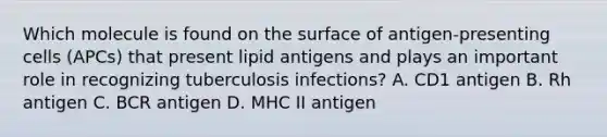 Which molecule is found on the surface of antigen-presenting cells (APCs) that present lipid antigens and plays an important role in recognizing tuberculosis infections? A. CD1 antigen B. Rh antigen C. BCR antigen D. MHC II antigen