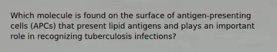 Which molecule is found on the surface of antigen-presenting cells (APCs) that present lipid antigens and plays an important role in recognizing tuberculosis infections?