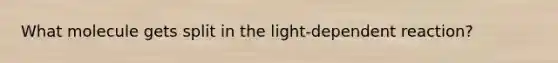 What molecule gets split in the light-dependent reaction?