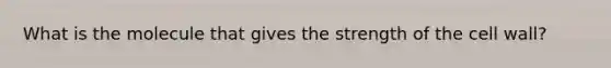 What is the molecule that gives the strength of the cell wall?