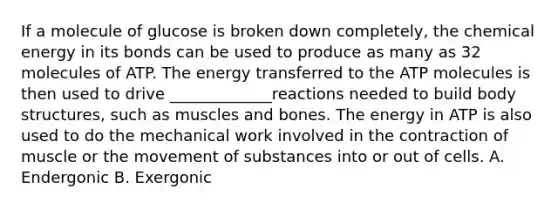 If a molecule of glucose is broken down completely, the chemical energy in its bonds can be used to produce as many as 32 molecules of ATP. The energy transferred to the ATP molecules is then used to drive _____________reactions needed to build body structures, such as muscles and bones. The energy in ATP is also used to do the mechanical work involved in the contraction of muscle or the movement of substances into or out of cells. A. Endergonic B. Exergonic