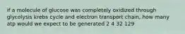 if a molecule of glucose was completely oxidized through glycolysis krebs cycle and electron transport chain, how many atp would we expect to be generated 2 4 32 129