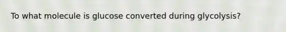 To what molecule is glucose converted during glycolysis?