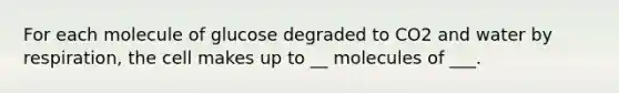 For each molecule of glucose degraded to CO2 and water by respiration, the cell makes up to __ molecules of ___.