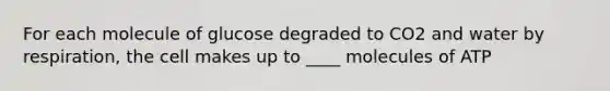 For each molecule of glucose degraded to CO2 and water by respiration, the cell makes up to ____ molecules of ATP