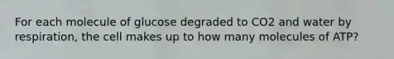 For each molecule of glucose degraded to CO2 and water by respiration, the cell makes up to how many molecules of ATP?