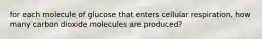 for each molecule of glucose that enters cellular respiration, how many carbon dioxide molecules are produced?