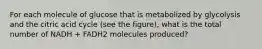 For each molecule of glucose that is metabolized by glycolysis and the citric acid cycle (see the figure), what is the total number of NADH + FADH2 molecules produced?