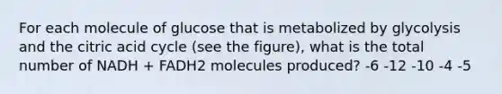 For each molecule of glucose that is metabolized by glycolysis and the citric acid cycle (see the figure), what is the total number of NADH + FADH2 molecules produced? -6 -12 -10 -4 -5