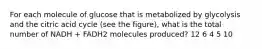 For each molecule of glucose that is metabolized by glycolysis and the citric acid cycle (see the figure), what is the total number of NADH + FADH2 molecules produced? 12 6 4 5 10