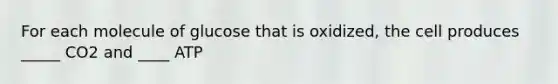 For each molecule of glucose that is oxidized, the cell produces _____ CO2 and ____ ATP