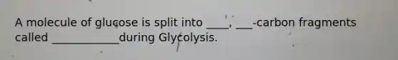 A molecule of glucose is split into ____, ___-carbon fragments called ____________during Glycolysis.