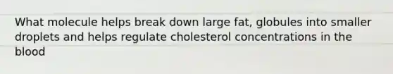 What molecule helps break down large fat, globules into smaller droplets and helps regulate cholesterol concentrations in the blood