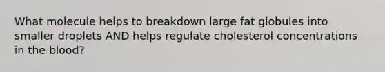 What molecule helps to breakdown large fat globules into smaller droplets AND helps regulate cholesterol concentrations in the blood?