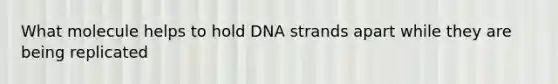 What molecule helps to hold DNA strands apart while they are being replicated