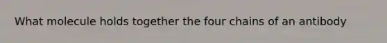 What molecule holds together the four chains of an antibody