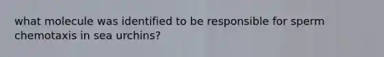 what molecule was identified to be responsible for sperm chemotaxis in sea urchins?