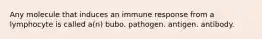 Any molecule that induces an immune response from a lymphocyte is called a(n) bubo. pathogen. antigen. antibody.