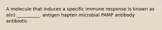 A molecule that induces a specific immune response is known as a(n) __________. antigen hapten microbial PAMP antibody antibiotic