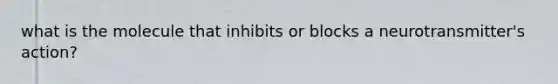 what is the molecule that inhibits or blocks a neurotransmitter's action?