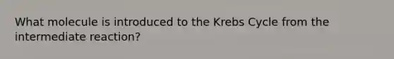 What molecule is introduced to the Krebs Cycle from the intermediate reaction?