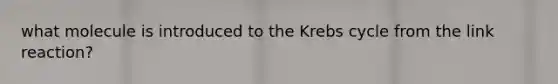 what molecule is introduced to the Krebs cycle from the link reaction?