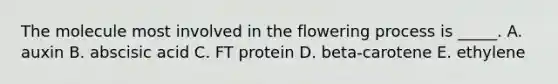 The molecule most involved in the flowering process is _____. A. auxin B. abscisic acid C. FT protein D. beta-carotene E. ethylene