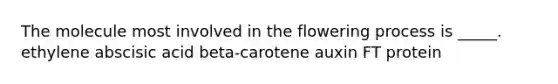 The molecule most involved in the flowering process is _____. ethylene abscisic acid beta-carotene auxin FT protein