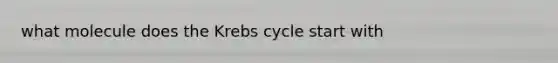 what molecule does the <a href='https://www.questionai.com/knowledge/kqfW58SNl2-krebs-cycle' class='anchor-knowledge'>krebs cycle</a> start with