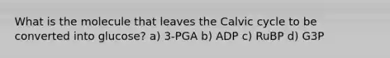 What is the molecule that leaves the Calvic cycle to be converted into glucose? a) 3-PGA b) ADP c) RuBP d) G3P