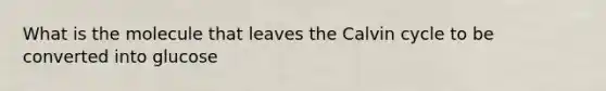 What is the molecule that leaves the Calvin cycle to be converted into glucose