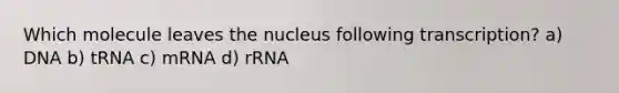 Which molecule leaves the nucleus following transcription? a) DNA b) tRNA c) mRNA d) rRNA