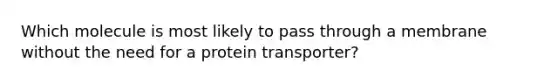 Which molecule is most likely to pass through a membrane without the need for a protein transporter?