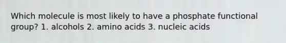 Which molecule is most likely to have a phosphate functional group? 1. alcohols 2. <a href='https://www.questionai.com/knowledge/k9gb720LCl-amino-acids' class='anchor-knowledge'>amino acids</a> 3. nucleic acids