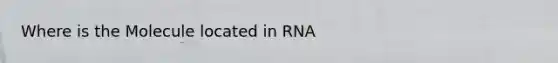 Where is the Molecule located in RNA