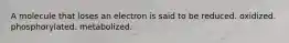 A molecule that loses an electron is said to be reduced. oxidized. phosphorylated. metabolized.