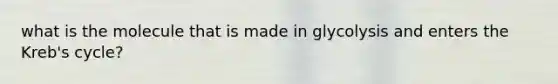 what is the molecule that is made in glycolysis and enters the Kreb's cycle?