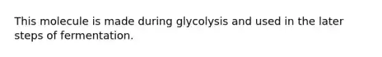 This molecule is made during glycolysis and used in the later steps of fermentation.