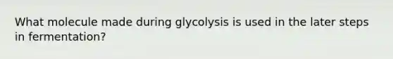 What molecule made during glycolysis is used in the later steps in fermentation?