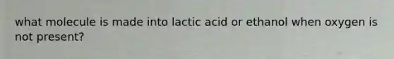 what molecule is made into lactic acid or ethanol when oxygen is not present?