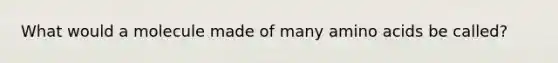What would a molecule made of many amino acids be called?