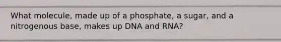 What molecule, made up of a phosphate, a sugar, and a nitrogenous base, makes up DNA and RNA?