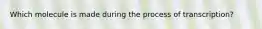 Which molecule is made during the process of transcription?