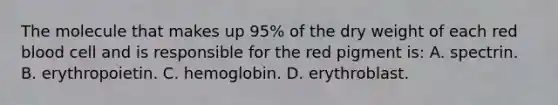 The molecule that makes up 95% of the dry weight of each red blood cell and is responsible for the red pigment is: A. spectrin. B. erythropoietin. C. hemoglobin. D. erythroblast.