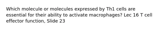 Which molecule or molecules expressed by Th1 cells are essential for their ability to activate macrophages? Lec 16 T cell effector function, Slide 23